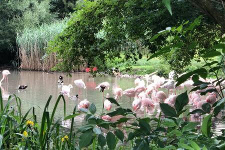 Stadtnaehe Und Doch Mitten In Der Natur 萨尔茨堡 外观 照片